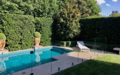 Bay Laurel (Sweet Bay) - Laurus Nobilis - 1 Gallon Pot -Wilson Bros Gardens Bay Laurel 7