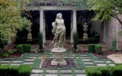 Dwarf Mondo Grass - 72 Pack Of 3.5" Pint Pots -Wilson Bros Gardens Picture Mondo Grass Dwarf Pavers