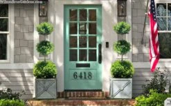 Green Mountain Boxwood 3-Ball Poodle Tier Topiary - 6 Gallon Pot -Wilson Bros Gardens buxus green mountain 3 ball topiary 20