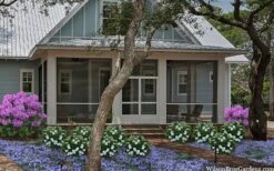 Snow Globe Gardenia - 1 Gallon Pot 11 Snow Globe Gardenia - 1 Gallon Pot -Wilson Bros Gardens gardenia jasminoides snow globe 2