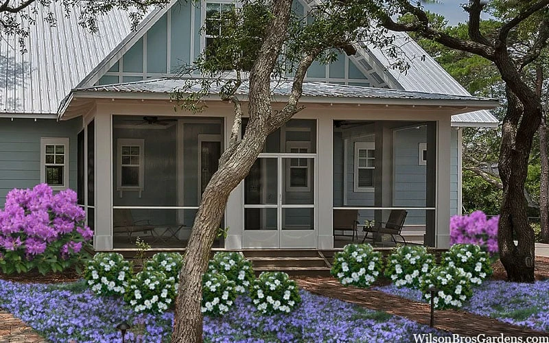 Snow Globe Gardenia - 1 Gallon Pot 6 Snow Globe Gardenia - 1 Gallon Pot - Image 6