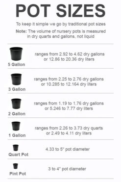 Wilson Bros Gardens -Wilson Bros Gardens pot size chart 2022 374